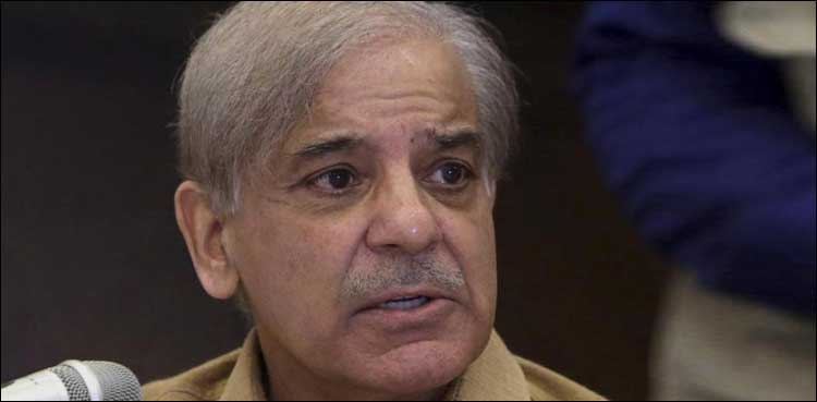 شہباز شریف کے اثاثہ جات منجمد کرنے کے احکامات جاری