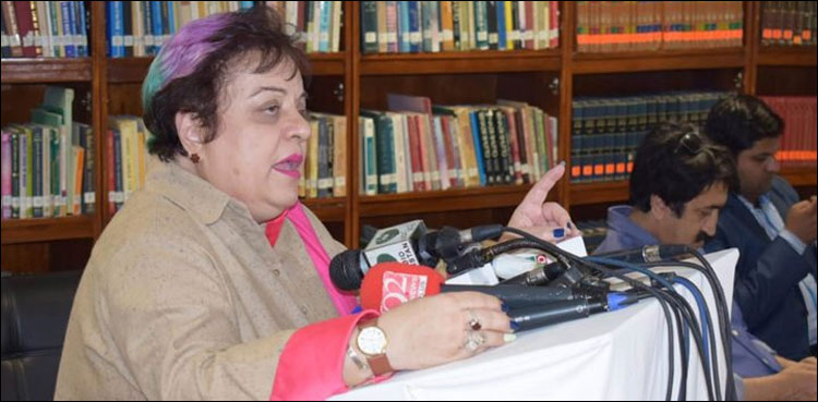 آج کا دن کبھی بھلایا نہیں جاسکتا: شیریں مزاری