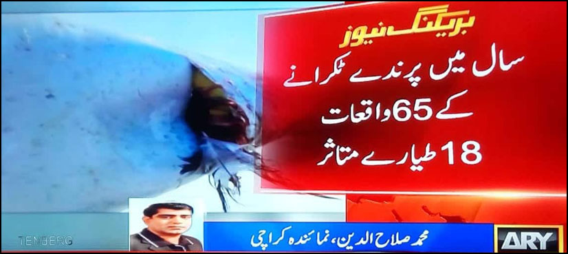 طیاروں سے پرندے ٹکرانے
