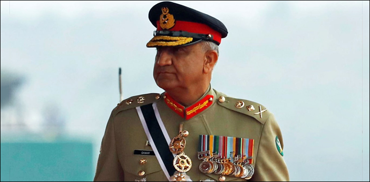 ہم نے دہشت گردی کے خلاف جنگ میں طویل سفر طے کیا: آرمی چیف