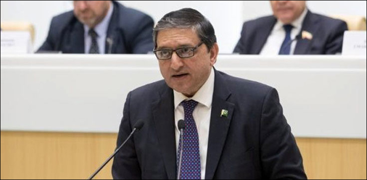 جعلی بینک اکاؤنٹس کیس ، نیب نے ڈپٹی چیئرمین سینیٹ سلیم مانڈوی والا کو طلب کرلیا