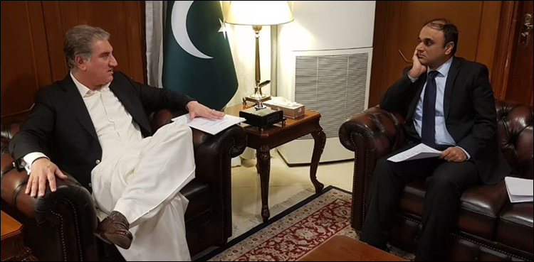 پاکستان کو سفارتی محاذ پر بہت سے چیلنجز کا سامنا ہے: وزیر خارجہ