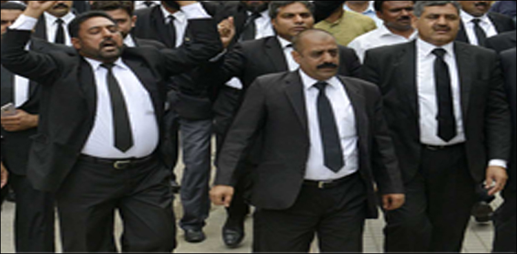 قانون کی تعلیم ان شخصیات نے بھی حاصل کی تھی!