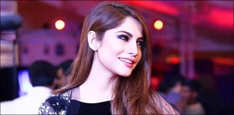 محنت اور لگن سے کام کرنے کی قائل ہوں، نیلم منیر