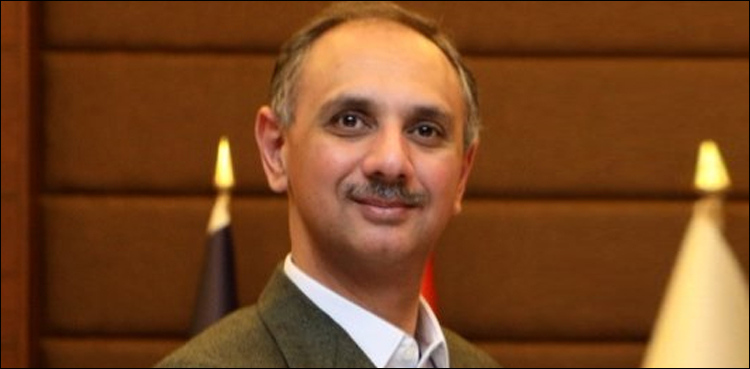 عمر ایوب نے ن لیگ اور پی پی کے بجلی منصوبوں کی حقیقت کھول دی