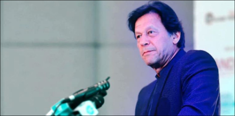 وزیر اعظم عمران خان ڈیووس سے وطن واپس پہنچ گئے