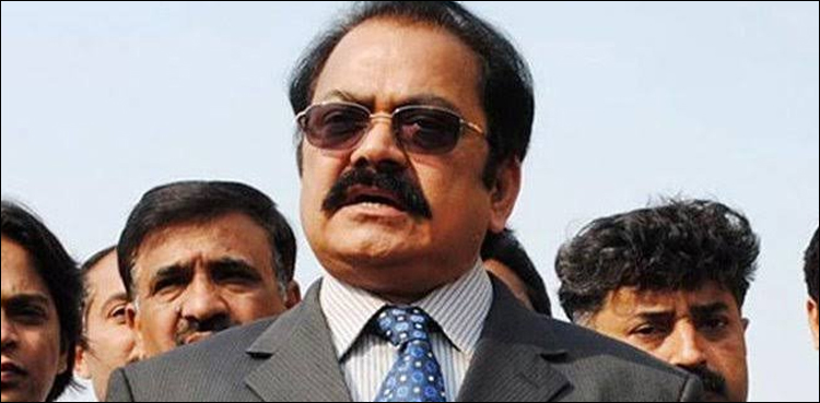 اثاثہ جات کی موجودگی ، رانا ثناءاللہ نئی مشکل میں پھنس گئے