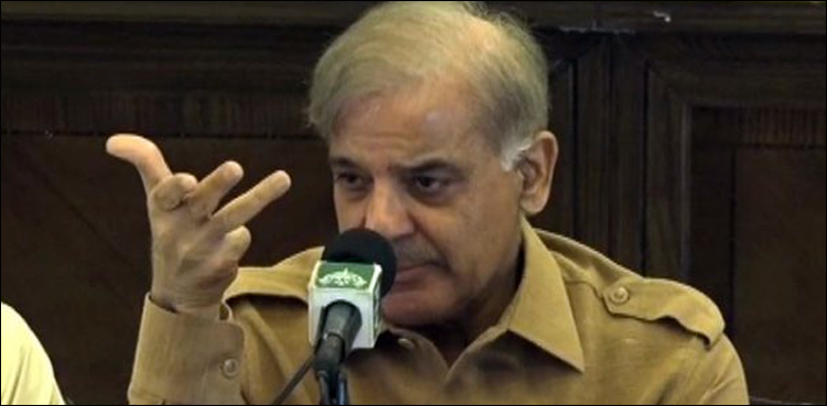 شہباز شریف کی پیرول پر رہائی کی مدت میں توسیع کی درخواست، پنجاب حکومت کا انکار