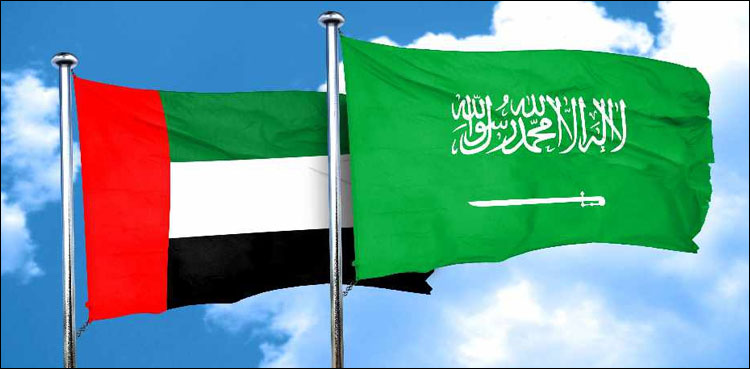 سعودی عرب اور متحدہ عرب امارات جلد مشترکہ ویزے کا اجرا کریں گے