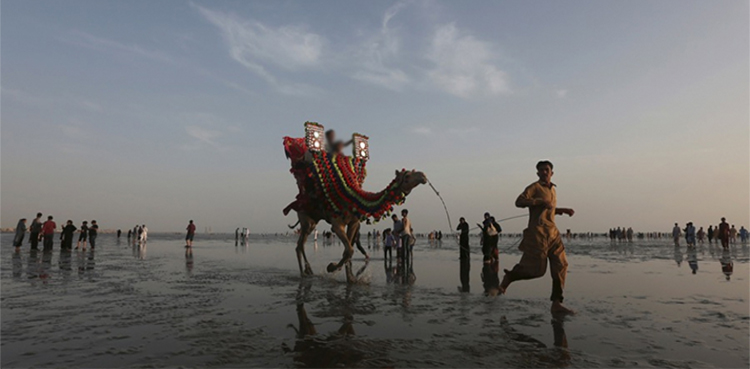 خاتون نے اونٹنی سے گرنے پر مقدمہ درج کروا دیا