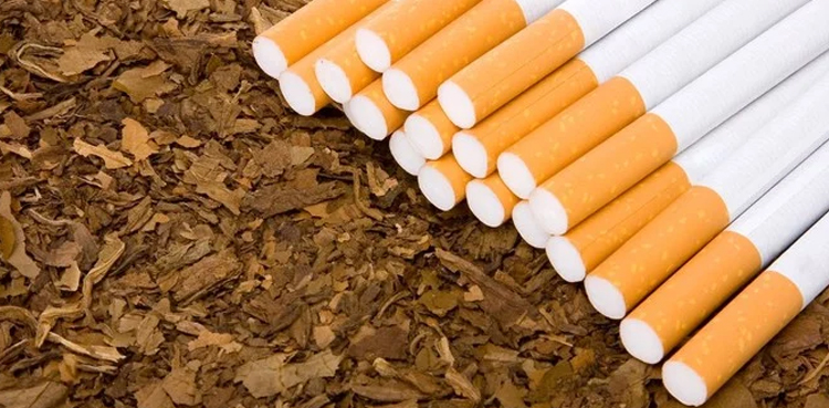 سعودی عرب میں تمباکو نوشی سے متعلق نیاقانون نافذ
