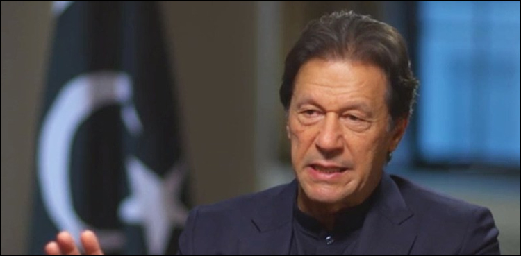 یوم آزادی  کے دن پر  وزیراعظم عمران خان کا  نوجوانوں کیلئے پیغام