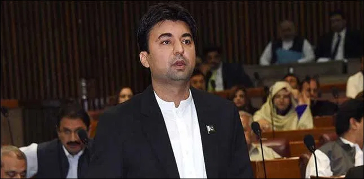 اپوزیشن کی وجہ سے پاکستان گرے لسٹ میں ہے: مراد سعید