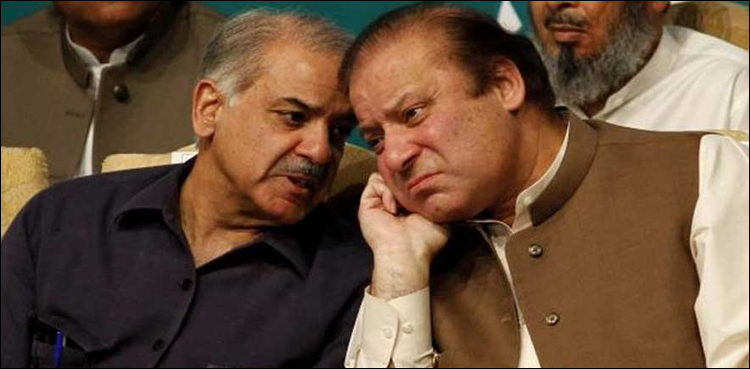 مسلم لیگ ن  کیلئے بڑا دھچکا