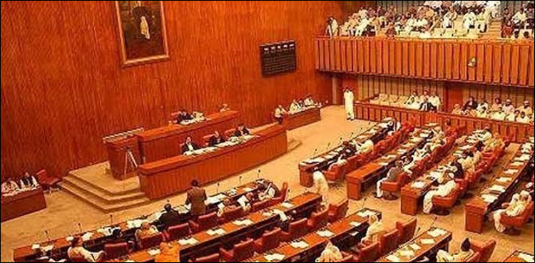 سینیٹ میں ارکان پارلیمان کی تنخواہوں میں اضافے کا بل مسترد