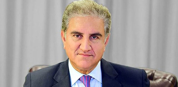 بجٹ میں ایسے سیکٹرز کو چنا ہے، جو روزگار پیدا کرتے ہیں، شاہ محمودقریشی