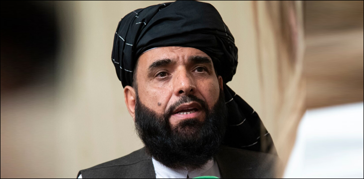 قیدیوں کی رہائی، طالبان نے افغان حکومت سے مذاکرات ملتوی کردئیے
