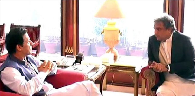 وزیر اعظم عمران خان سے وفاقی وزیر علی زیدی کی ملاقات
