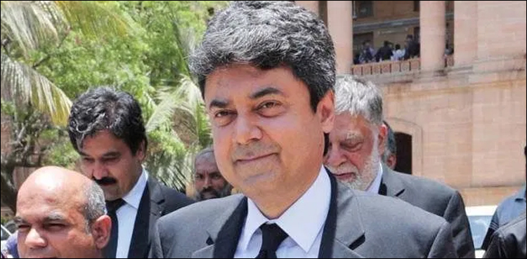 حکومت کے جانے کی افواہوں میں کوئی صداقت نہیں: فروغ نسیم