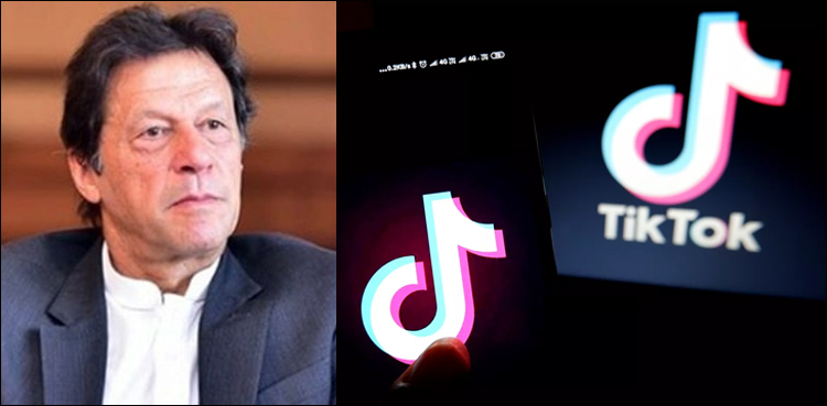 وزیراعظم عمران خان سے ٹک ٹاک کے خلاف ایکشن کا مطالبہ