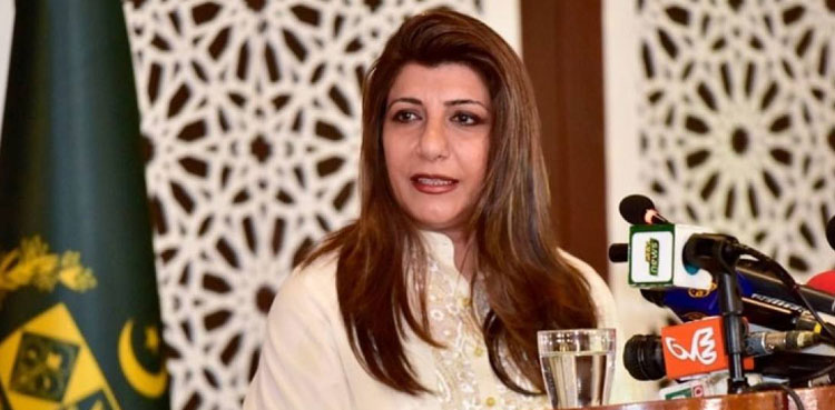 پاکستان کا امریکااور بھارت میں ہتھیاروں کے لین دین پر تشویش کا اظہار