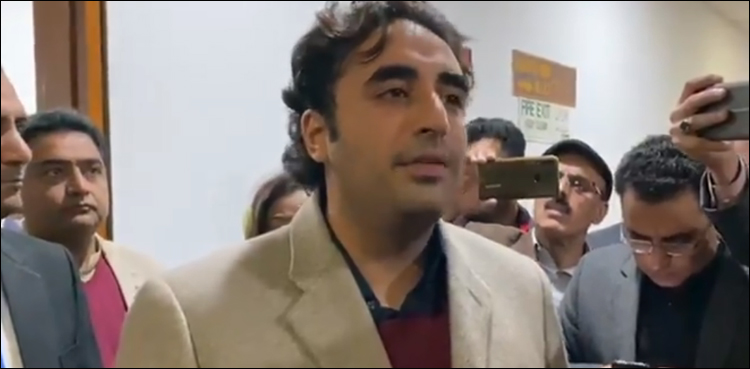 مسئلہ کشمیر کا حل اسلامی دنیا کے عزم سے ہاتھ بھر دوری پر ہے: بلاول بھٹو