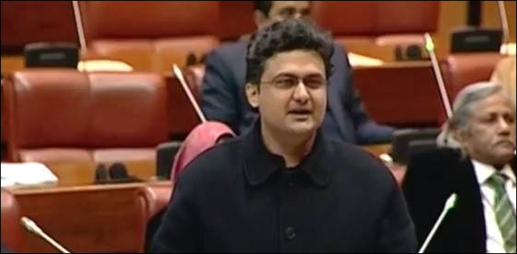 جب تک ایک مزدورکی آمدن نہیں بڑھتی، ہمیں اپنی تنخواہ نہیں بڑھانی چاہیے، سینیٹر فیصل جاوید