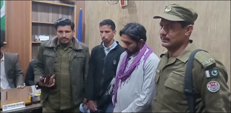 ملتان ڈسٹرکٹ بار سے خاتون کو ٹھگنے والا جعلی وکیل گرفتار