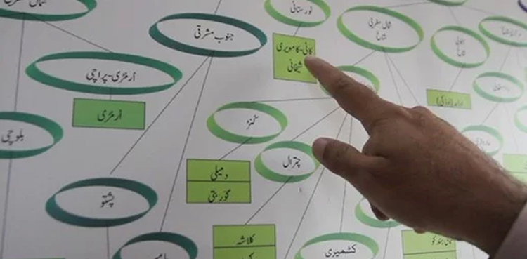 دنیا کا تہذیبی، ثقافتی ورثہ مادری زبانوں‌ کی آغوش میں محفوظ ہے