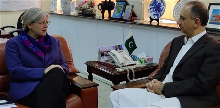 کینیڈین سرمایہ کاروں کا  پاکستان میں سرمایہ کاری پر غور