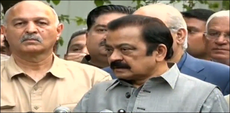 ہم عبوری سیٹ اپ کے حق میں نہیں دوبارہ الیکشن چاہتے ہیں، رانا ثناءاللہ