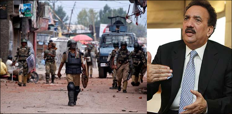 سینیٹر رحمان ملک کا مسئلہ کشمیر کے موضوع پر فلم بنانے کا فیصلہ