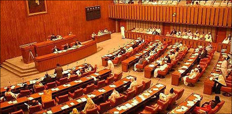 سینیٹ کا الیکشن کون کون لڑے گا ؟  امیدواروں کی فہرست جاری