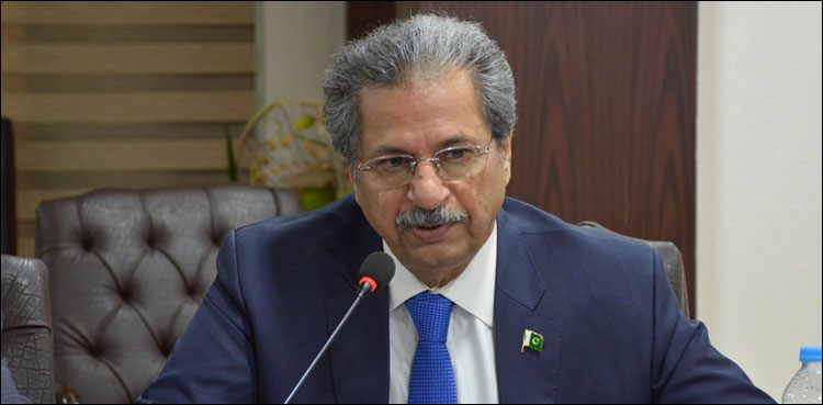ق لیگ کے مطالبات پر عملدرآمد کیا جائے گا: شفقت محمود