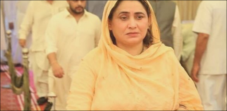 شہناز انصاری کا سیکیورٹی کے لیے خط آئی جی کو قتل کے دوسرے روز موصول ہوا: بریفنگ