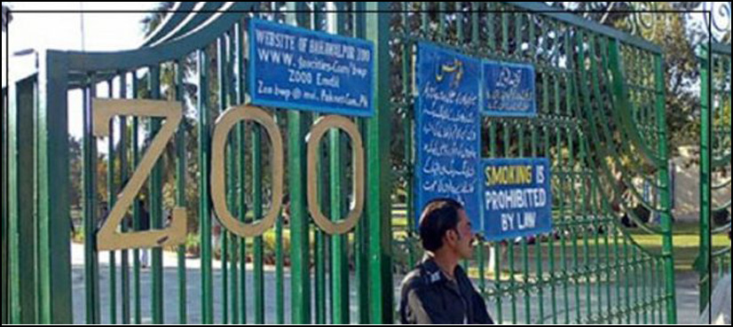 انتظامیہ چڑیا گھر کا خیال نہیں رکھ سکتی تو جانور آزاد کردے، اطہر من اللہ