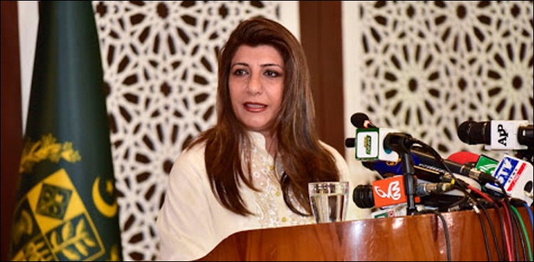مقبوضہ کشمیر میں شہریوں کو بنیادی سہولتوں تک رسائی دی جائے، ترجمان دفتر خارجہ