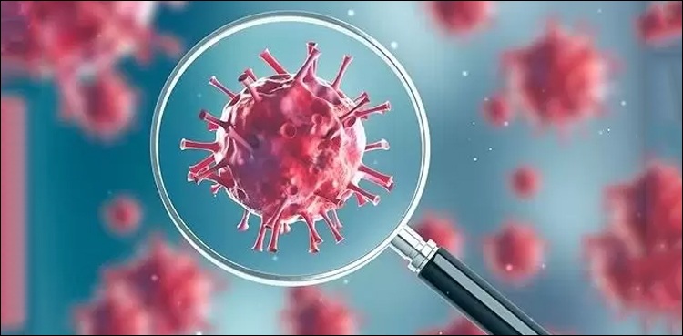 پنجاب: کرونا کے مریضوں کا اسپتالوں کے بجائے گھروں پر معائنہ ممکن