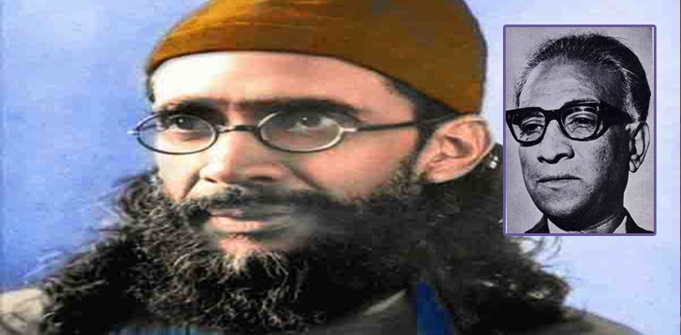 "مولانا تفریحُ الملک” اور "مرزا پھویا” کون ہیں؟