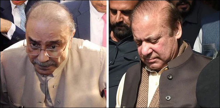 آصف زرداری اور نواز شریف نئی مشکل میں پھنس گئے
