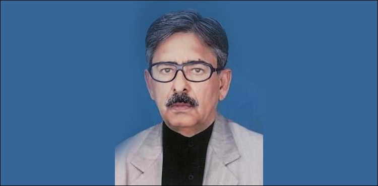 نوازشریف خود لوٹے ہیں، لیگی ایم پی اے
