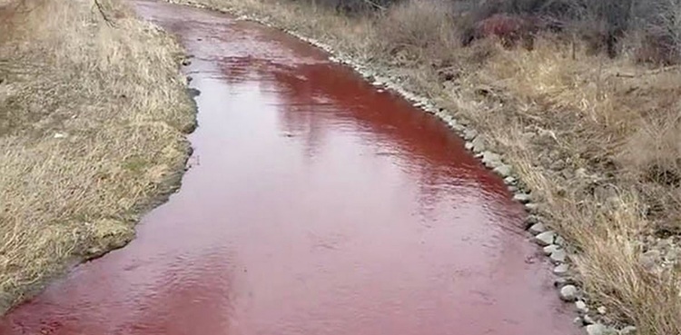 ’’خون کی ندی‘‘ اصل حقیقت سامنے آگئی