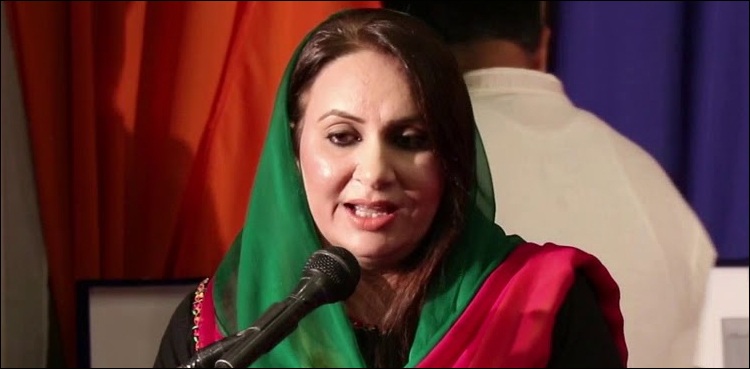 پی ڈی ایم ٹولے نے ہر حربہ آزما لیا لیکن انکا گراف اوپر نہیں جارہا، مسرت چیمہ