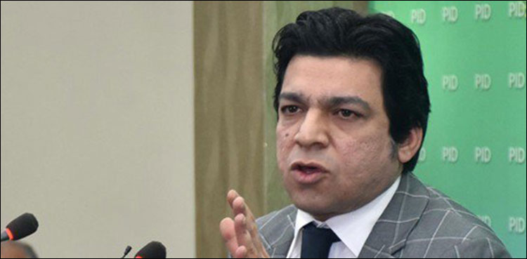 بجٹ پاس ہوگا اور اپوزیشن کو شکست ہو گی، فیصل واوڈا
