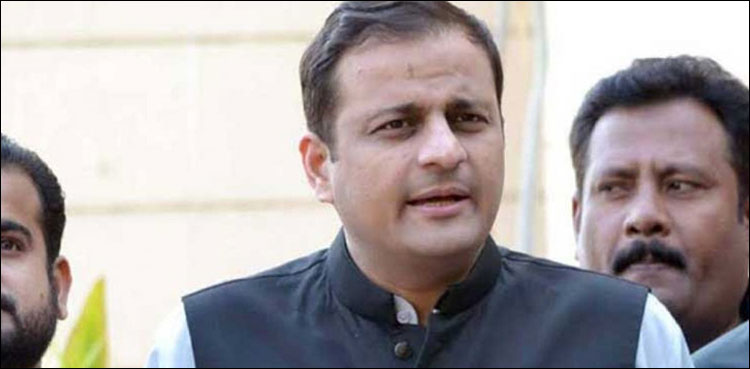سندھ میں خواتین میں کرونا وائرس کی شرح بڑھ رہی ہے: مرتضیٰ وہاب