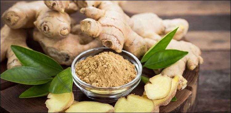 ادرک میں‌ موجود "جینجرول” کیا کرتا ہے؟