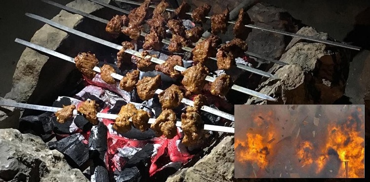 باربی کیو پارٹی: دوست کی غفلت کا بھیانک انجام