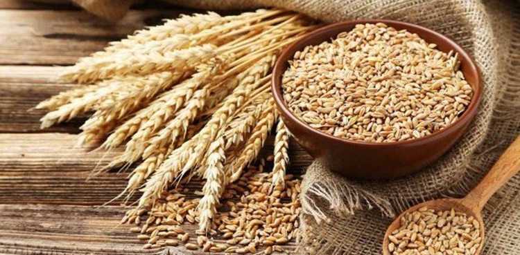 فطرہ اور فدیہ کی رقم 125 روپے مقرر