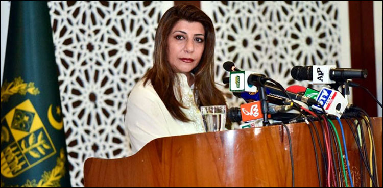 ‘بھارت نے طالبان سمیت دیگر پرگیارہویں رپورٹ کوغلط اندازمیں پیش کیا، الزامات مسترد کرتے ہیں’