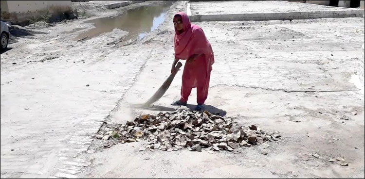 جھاڑو دے کر روزی کمانے والی خاتون کو سرکاری ملازمت مل گئی